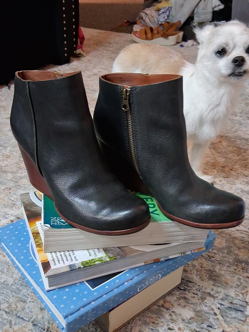 Kork-Ease, Women's Navy Blue Leather Wedge Ankle Boots